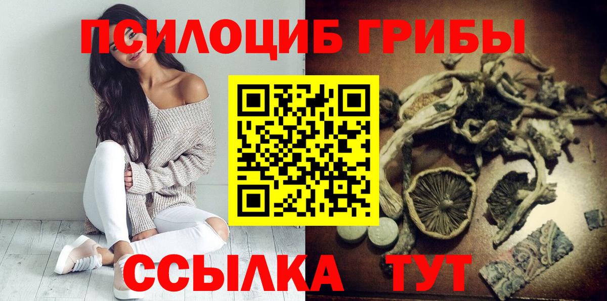 Галлюциногенные грибы Cubensis  Вход с VPN  Мурманск 