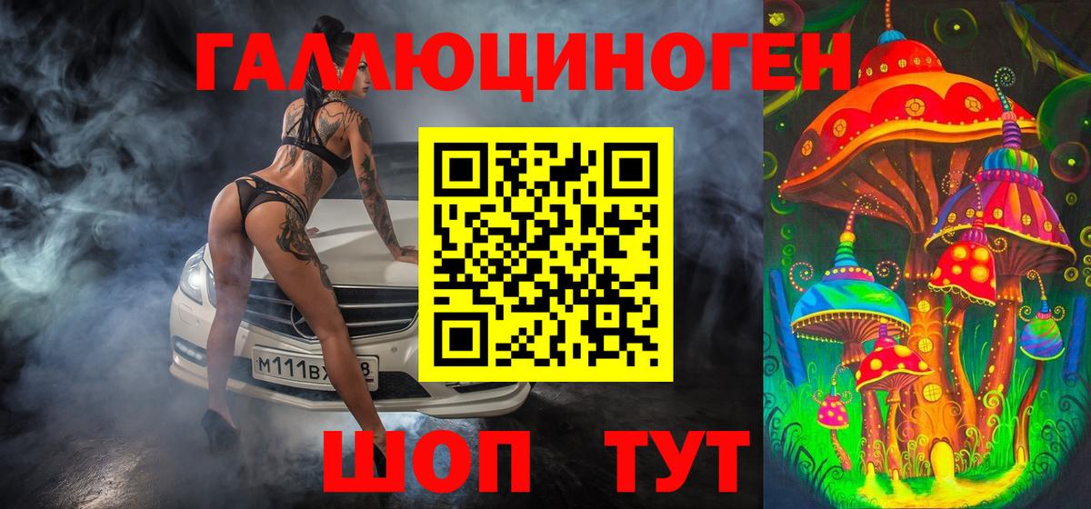 Галлюциногенные грибы Psilocybe Мурманск